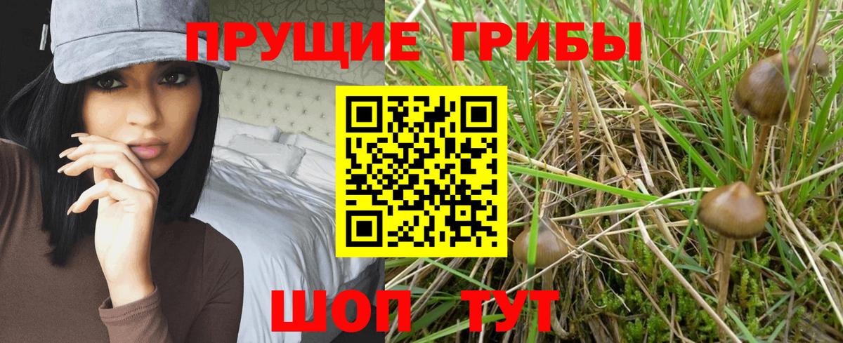 Псилоцибиновые грибы мицелий Ишим